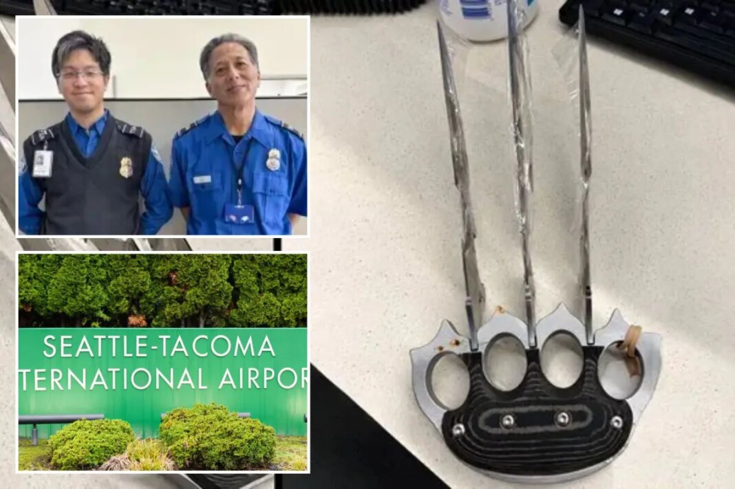 Seattle airport TSA finds bizarre weapon with âWolverine-style claws, Freddy Krueger bladesâ